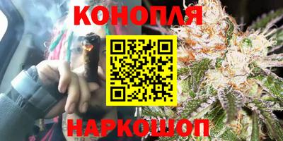 гидра Краснознаменск
