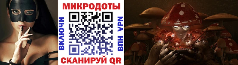 Галлюциногенные грибы мицелий  что такое наркотик  mega ТОР  Кандалакша 